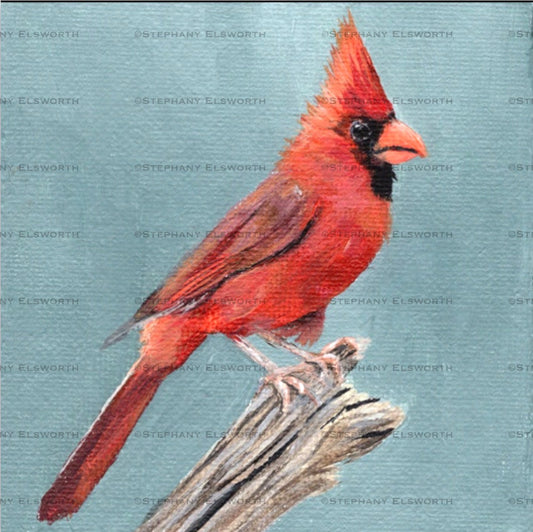 4 x 4 inch Cardinal on Blue Original Miniature Acrylic Painting
