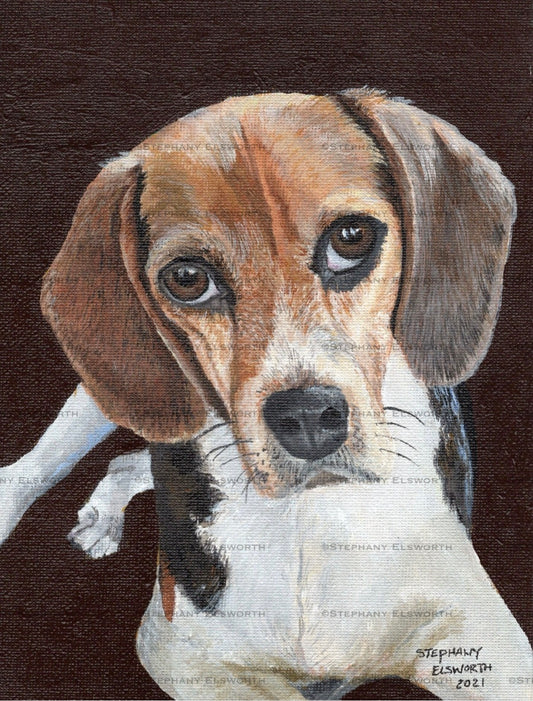 6 x 8 Soulful Beagle Original Acrylic Painting