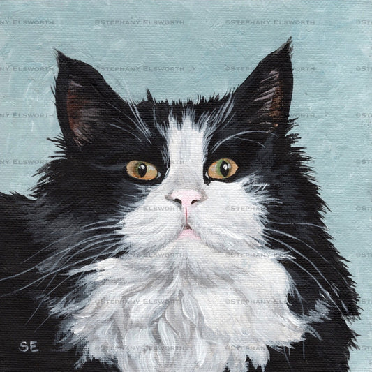 6 x 6 Black and White Longhaired Cat Original Acrylic Painting