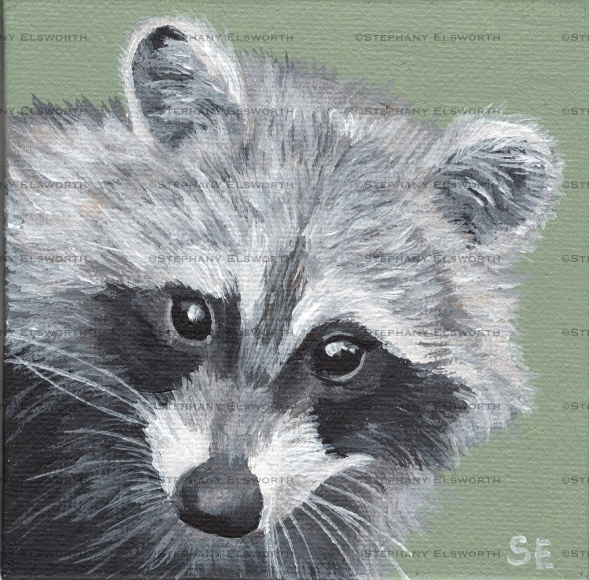 Set of Four 4 x 4 inch Wildlife Portraits