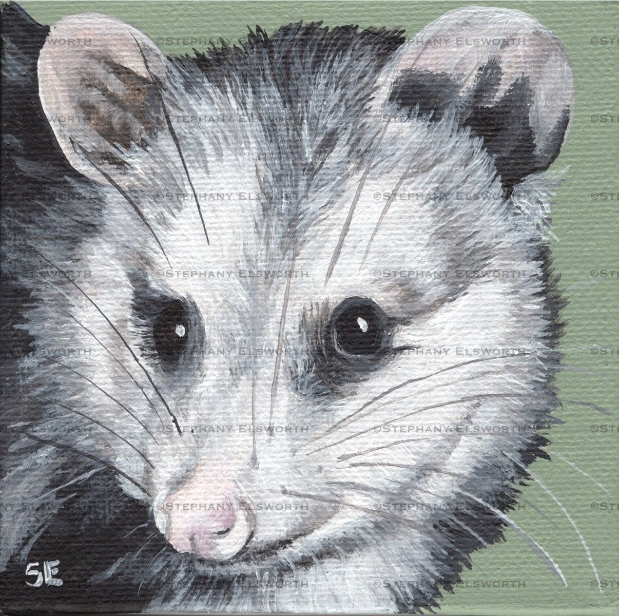 Set of Four 4 x 4 inch Wildlife Portraits