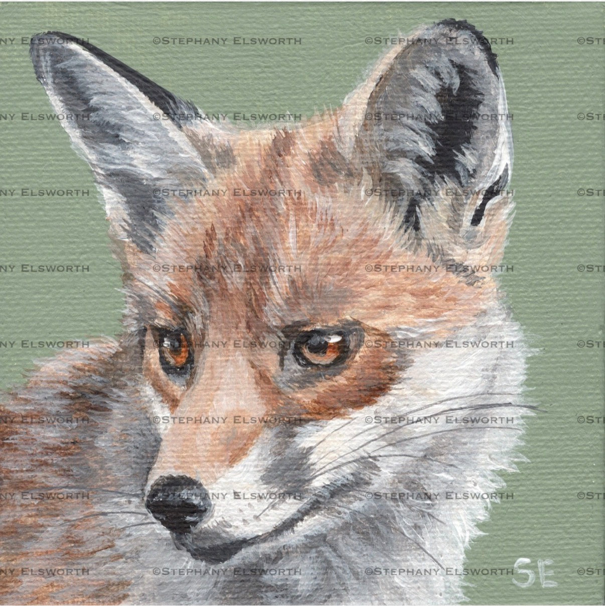 Set of Four 4 x 4 inch Wildlife Portraits