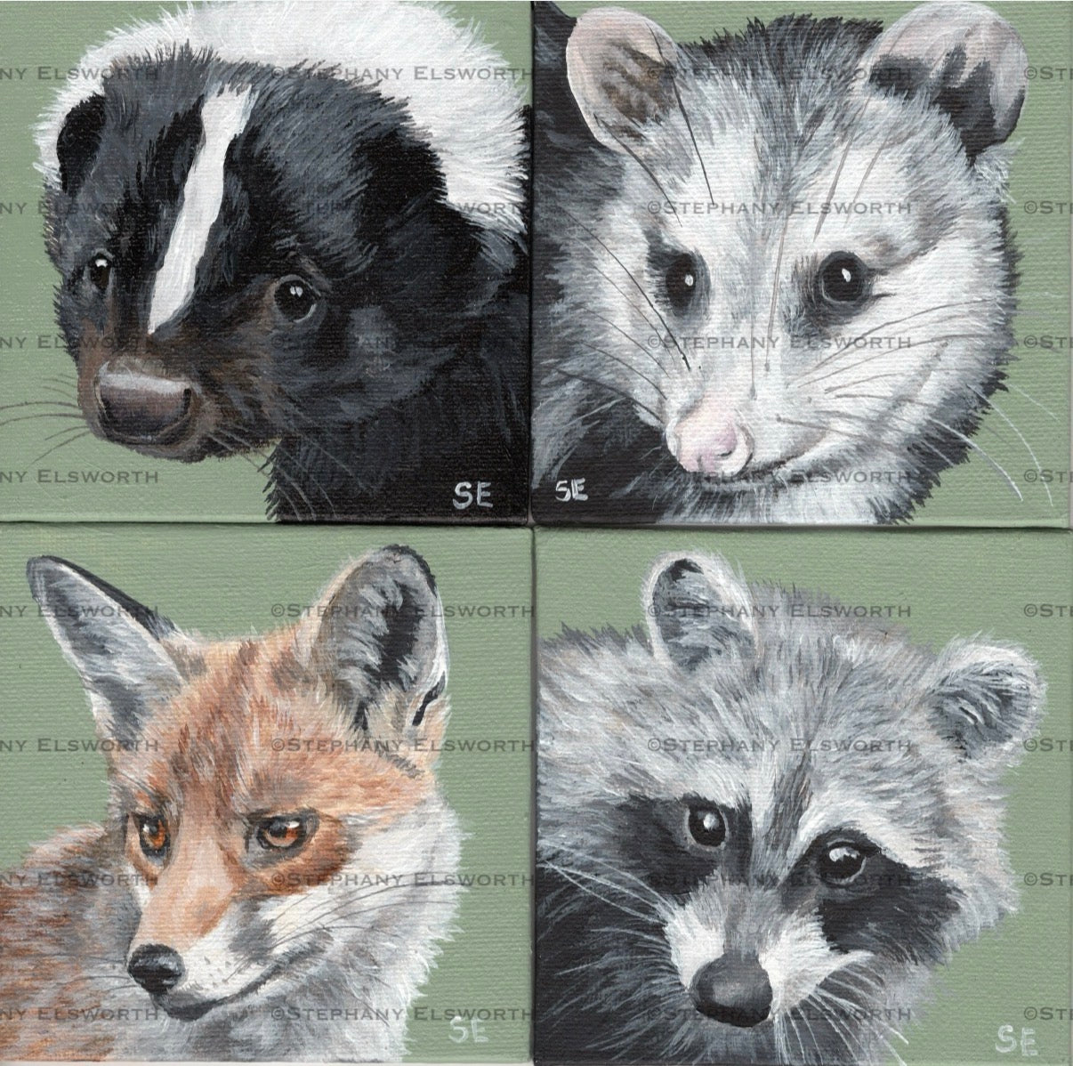 Set of Four 4 x 4 inch Wildlife Portraits