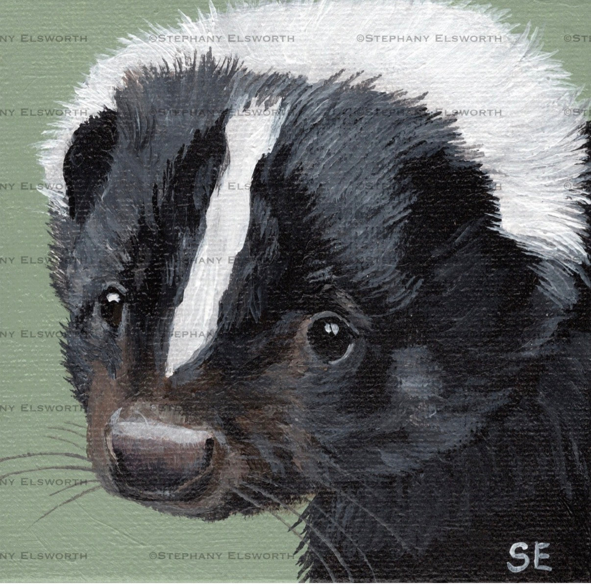 Set of Four 4 x 4 inch Wildlife Portraits