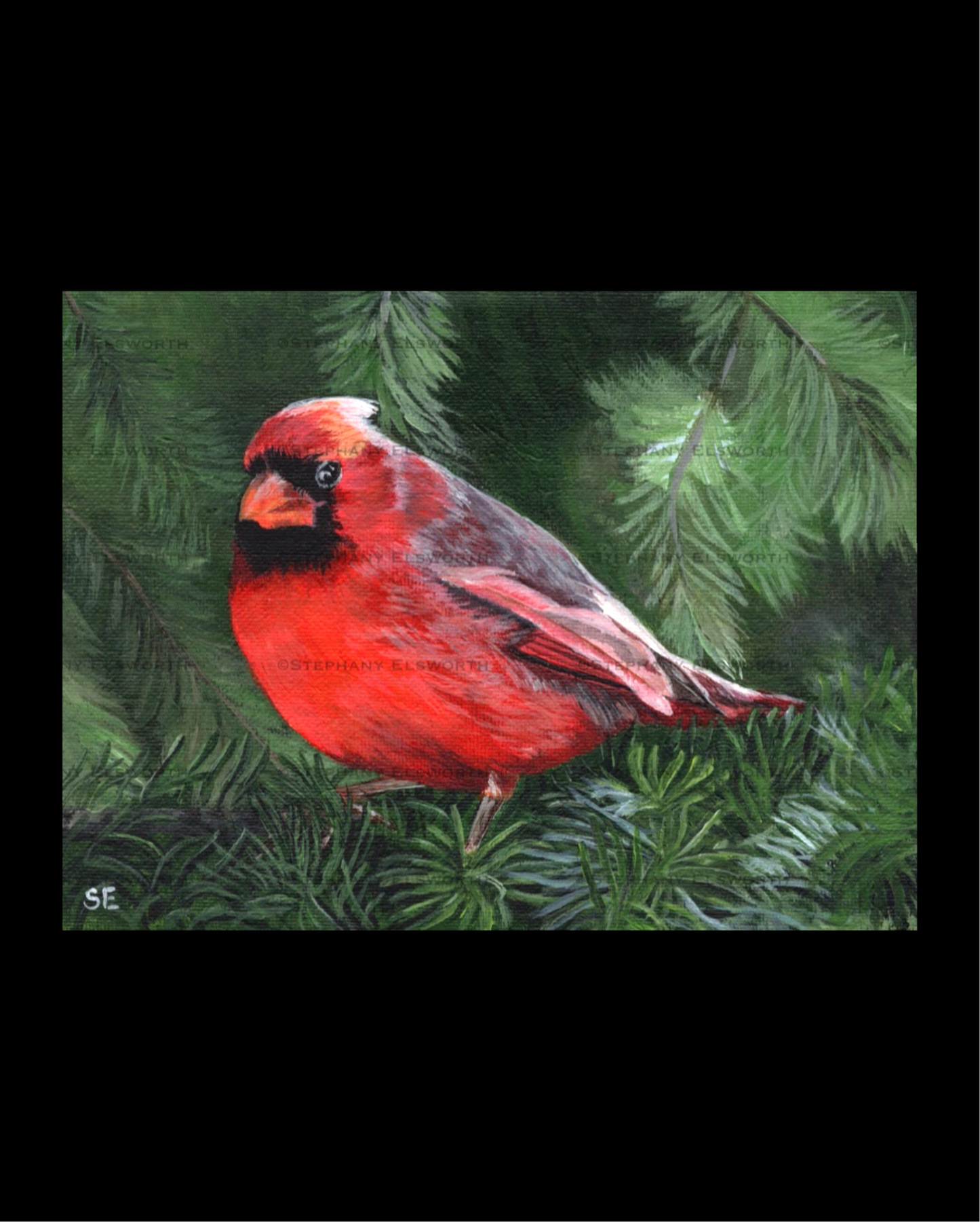 8 x 6 Cardinal on Pine Branch Original Acrylic Painting