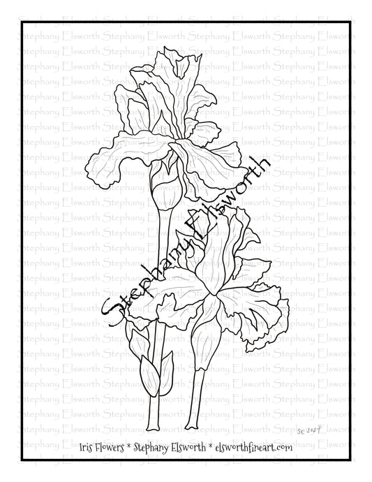 Iris Flower Free PDF Printable Coloring Page