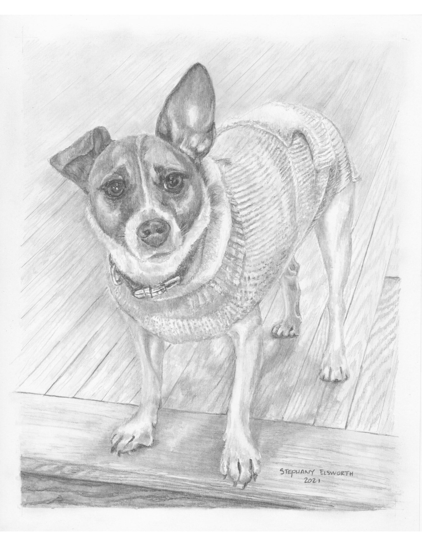 Custom Graphite Pencil Pet Portrait from Photo