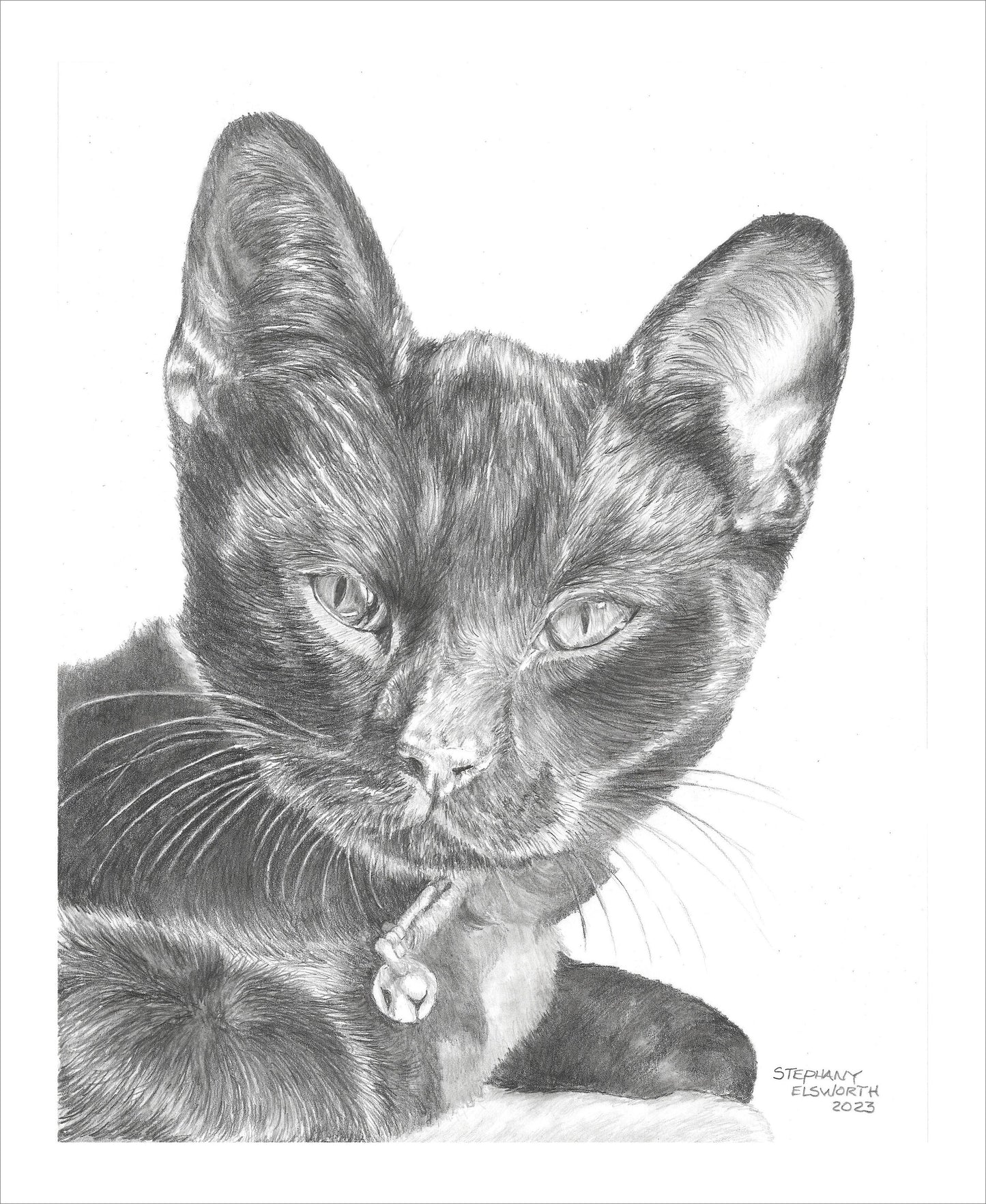 Custom Graphite Pencil Pet Portrait from Photo