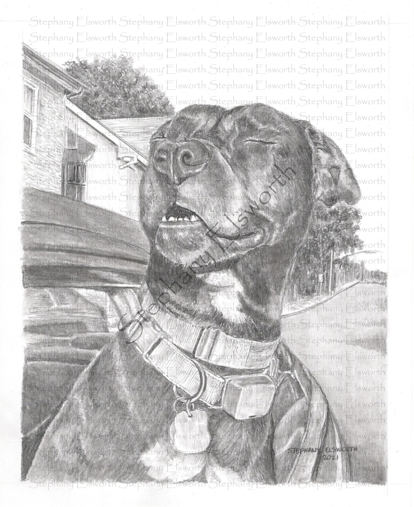 Custom Graphite Pencil Pet Portrait from Photo