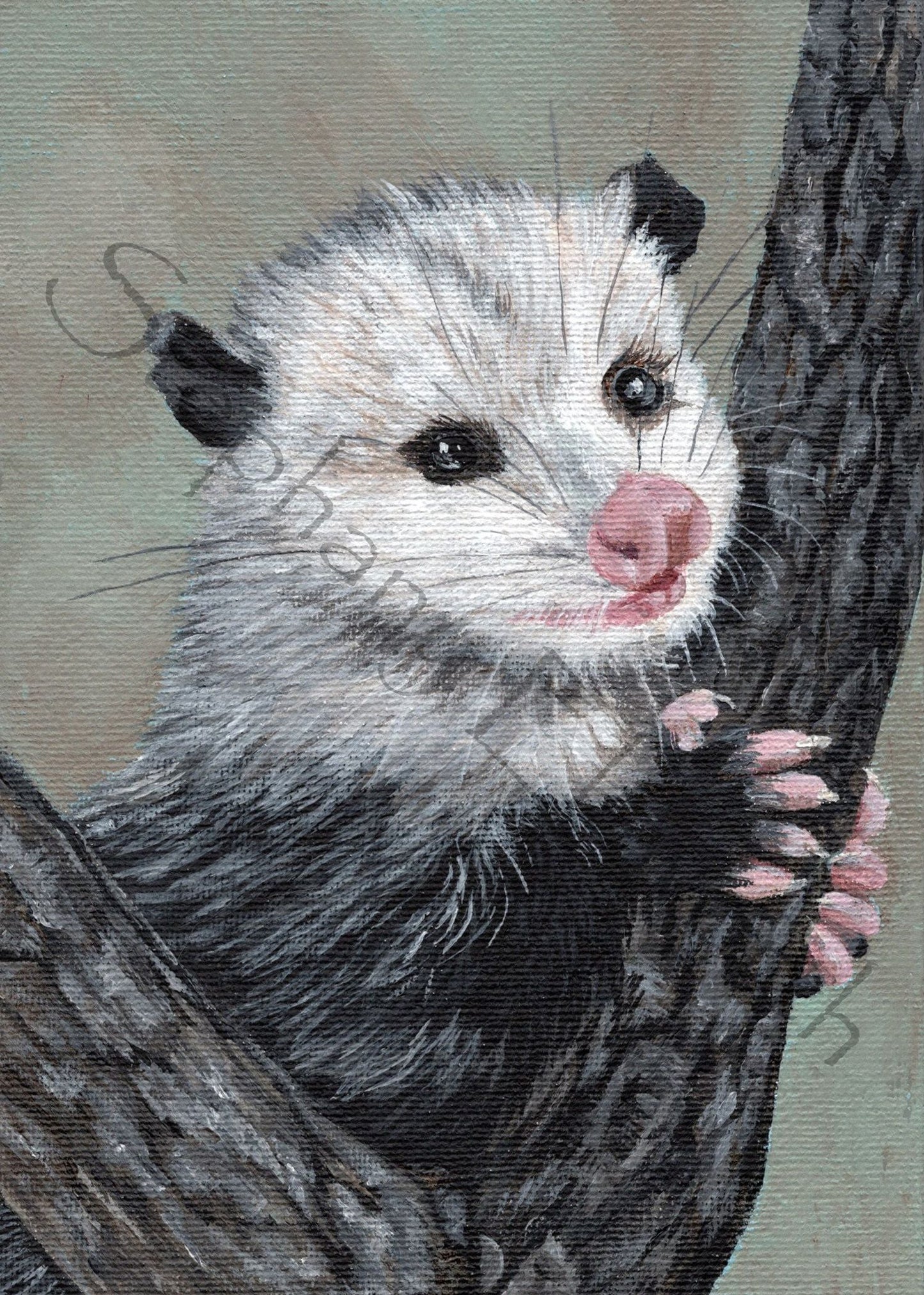 Smiling Baby Opossum 5 x 7 inch Original Painting