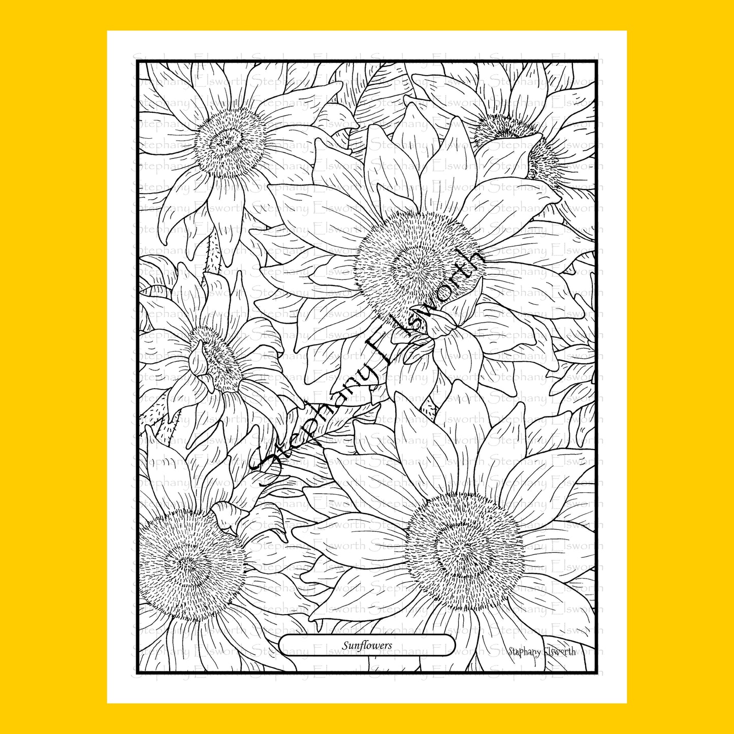 Sunflowers 8 1/2 x 11 Printable Instant Download Coloring Page