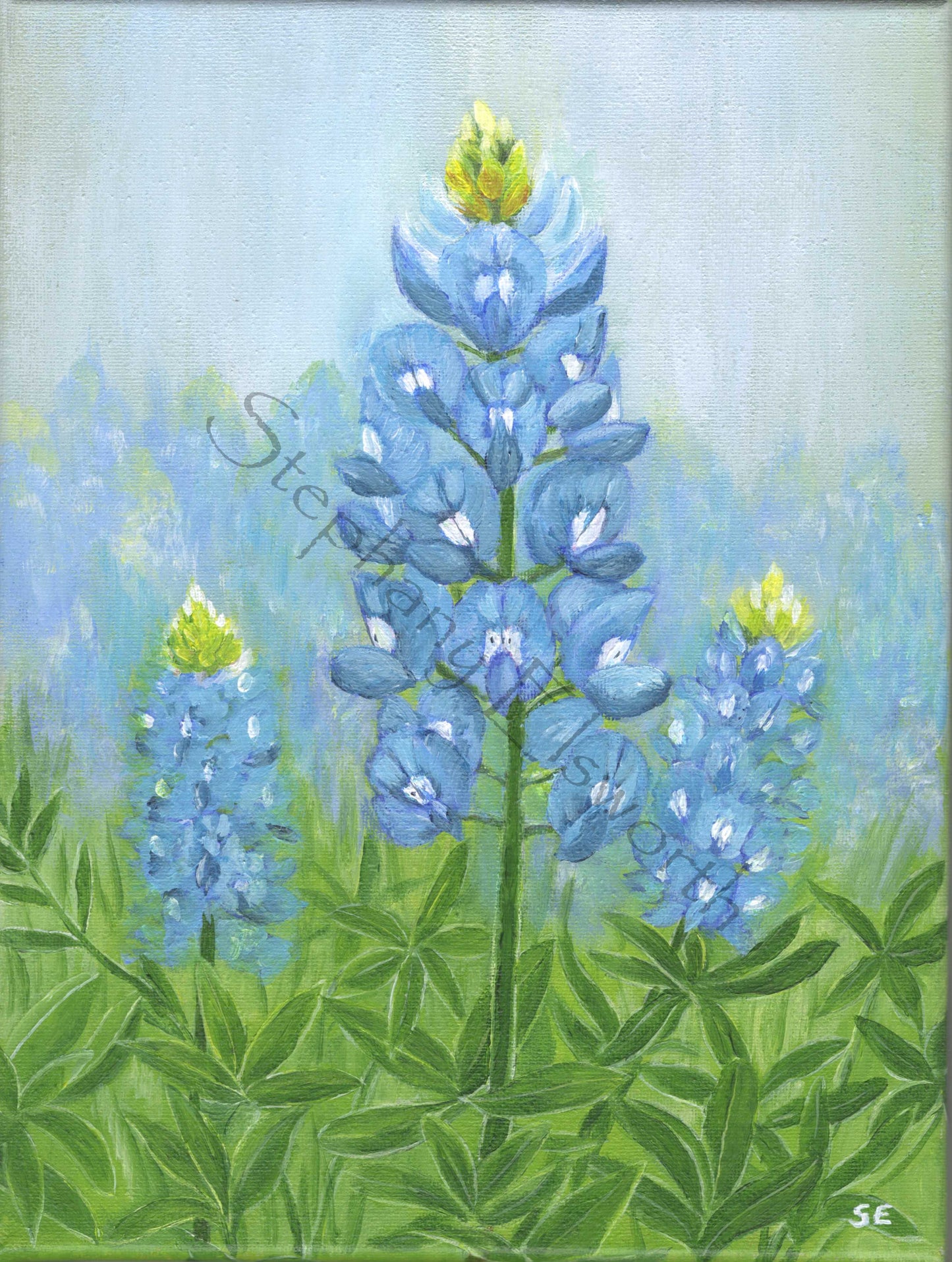 Misty Morning Bluebonnets - 9 x 12 inch Original Acrylic Painting on Stretched Canvas