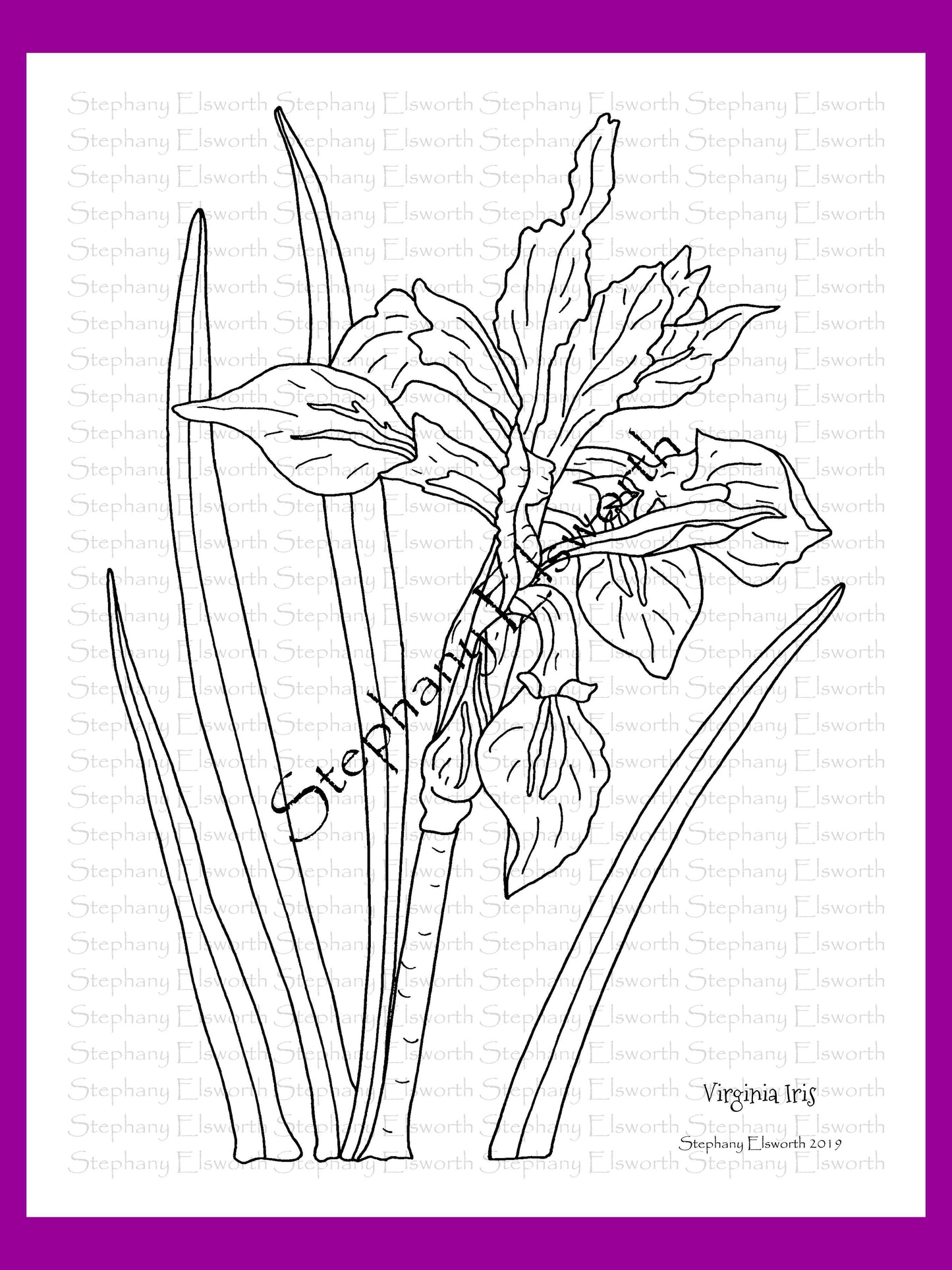 Joyful Blossoms 8 1/2 x 11 PDF Instant Download Printable Coloring Book