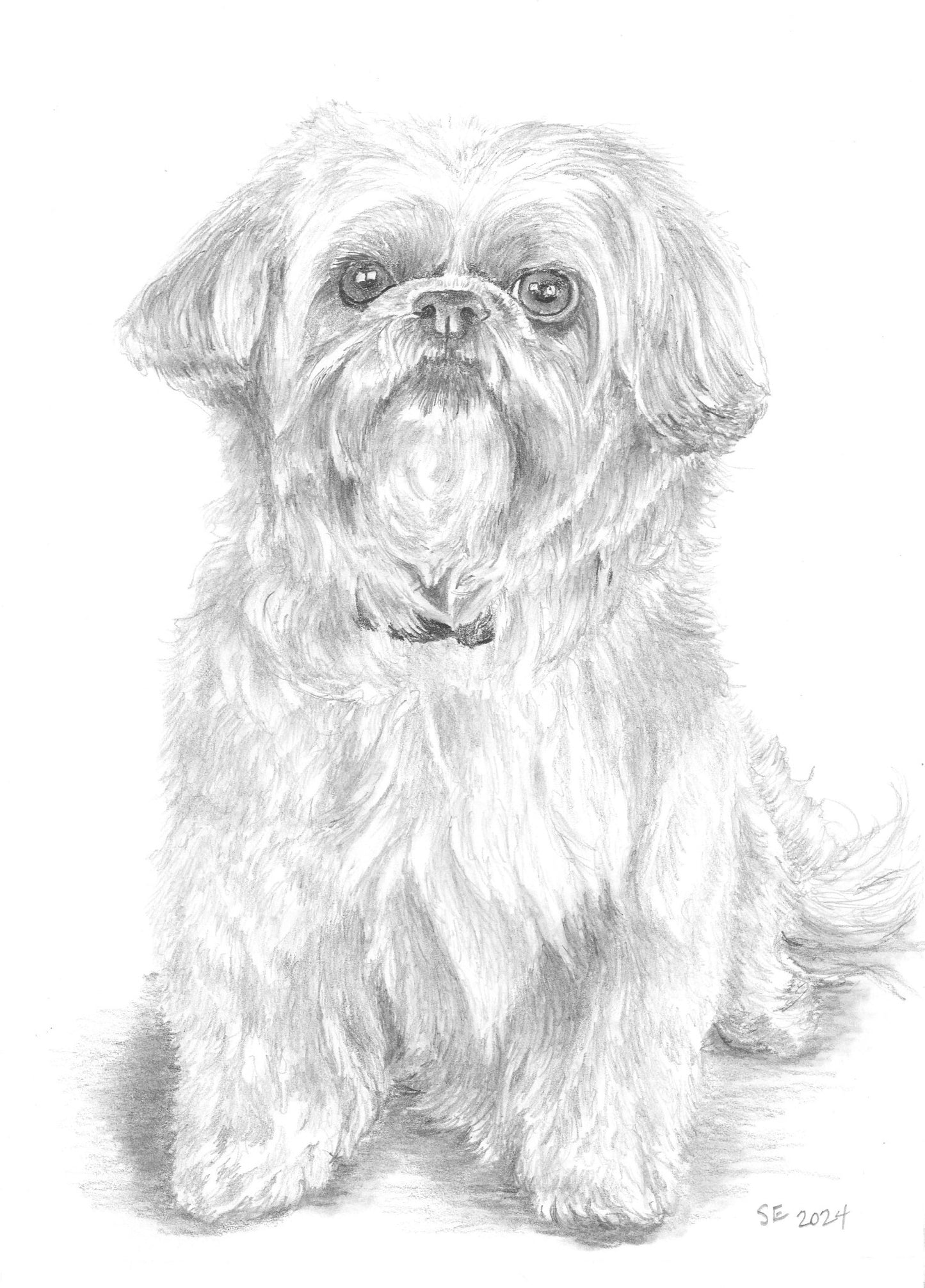 Custom Graphite Pencil Pet Portrait from Photo