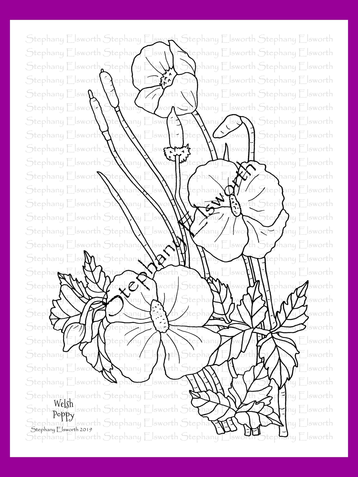 Joyful Blossoms 8 1/2 x 11 PDF Instant Download Printable Coloring Book