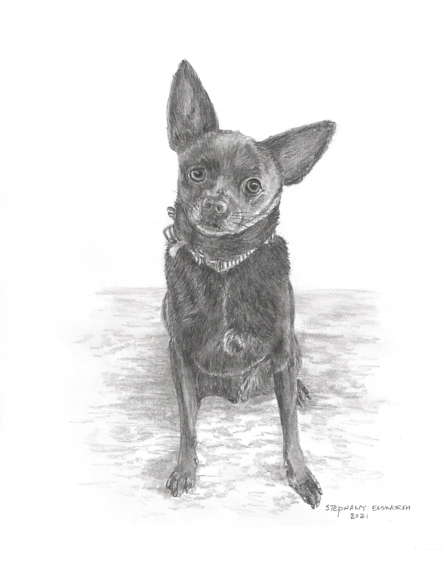 Custom Graphite Pencil Pet Portrait from Photo