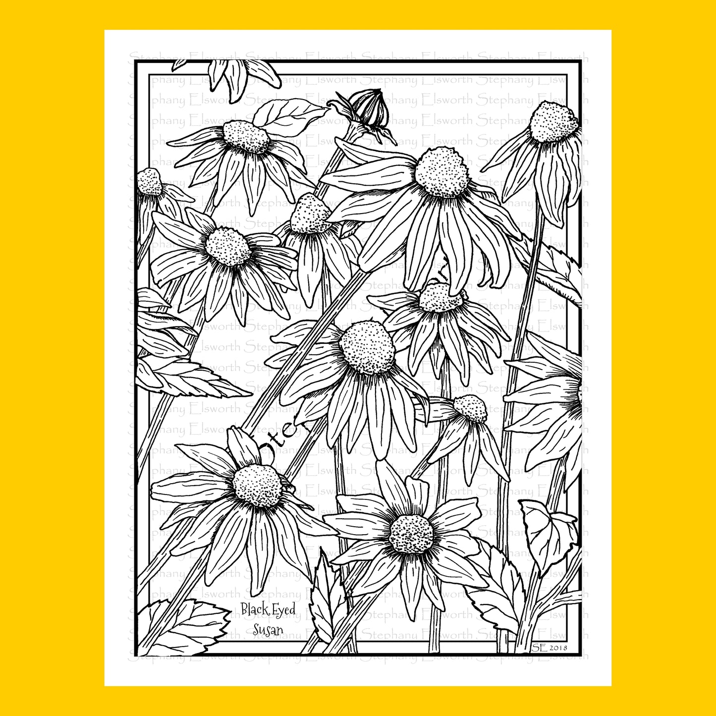 Black Eyed Susan Flowers 8 1/2 x 11 Printable Instant Download Coloring Page