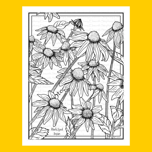 Black Eyed Susan Flowers 8 1/2 x 11 Printable Instant Download Coloring Page