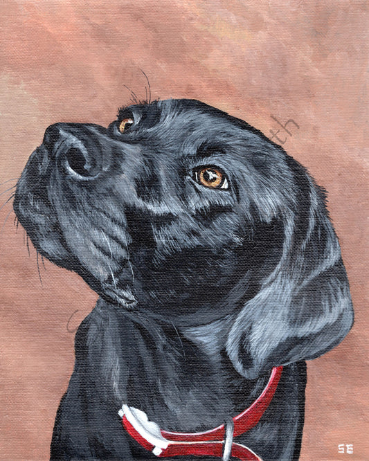 8 x 10 Black Labrador Retriever Original Acrylic Painting