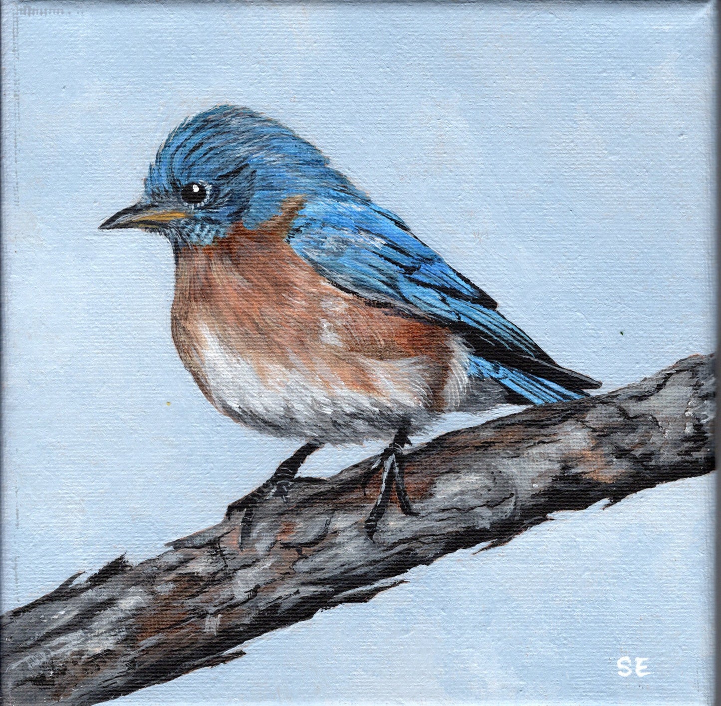 Bluebird 6 x 6 Original Acrylic Painting