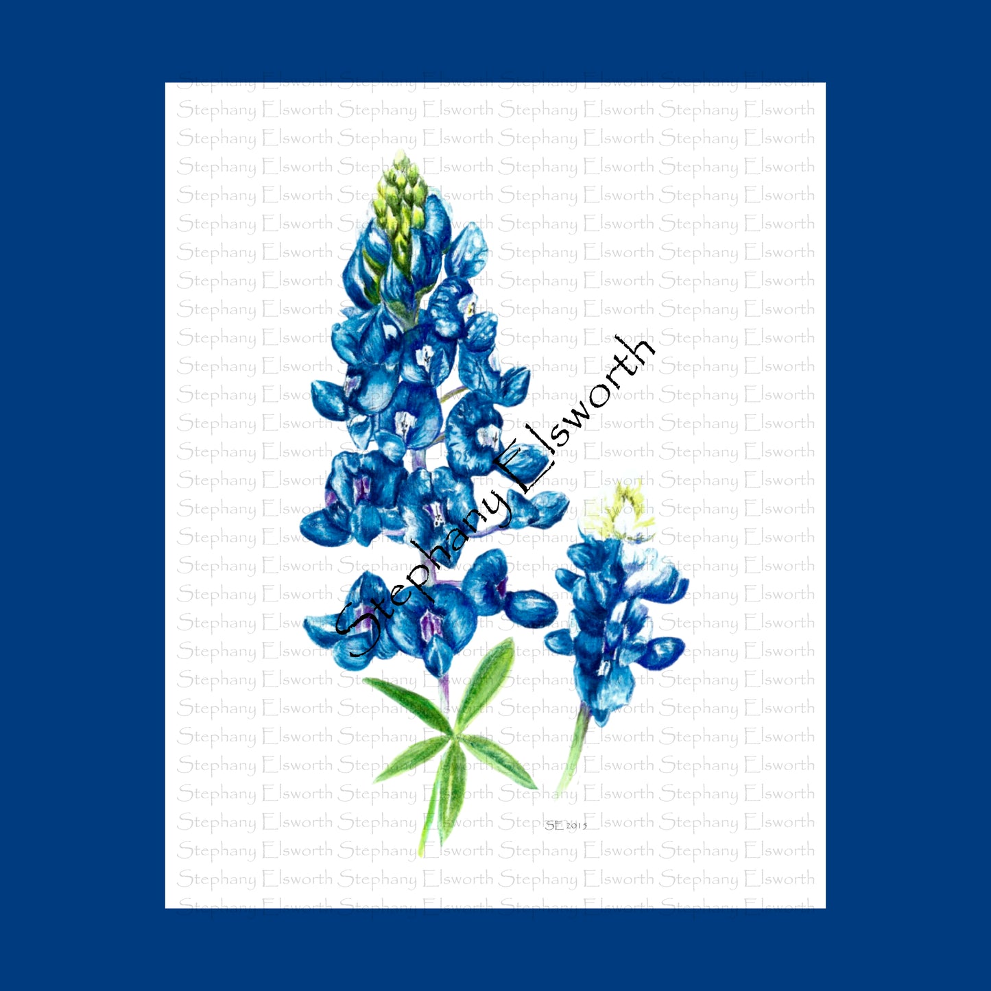 Printable Wall Art: Pencil Color Bluebonnet