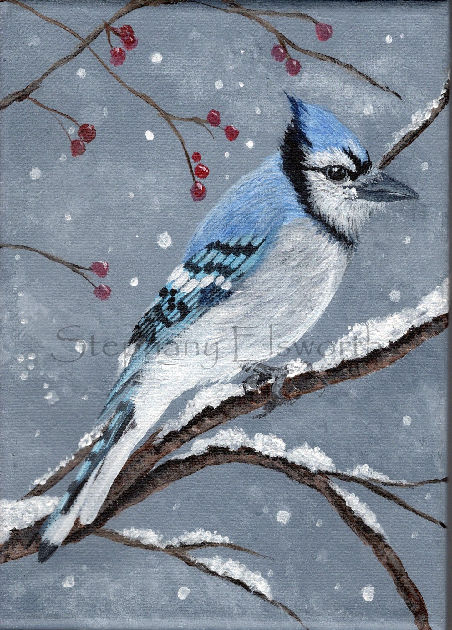 5 x 7 inch Bluejay in Snow Original Acrylic Painting
