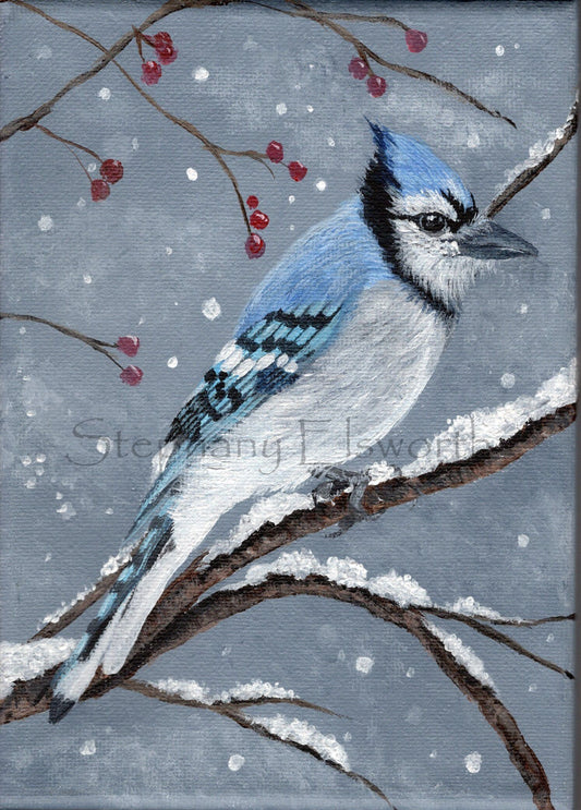 5 x 7 inch Bluejay in Snow Original Acrylic Painting