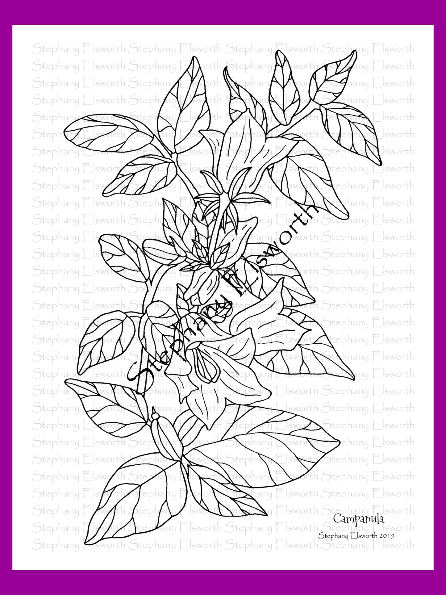 Joyful Blossoms 8 1/2 x 11 PDF Instant Download Printable Coloring Book