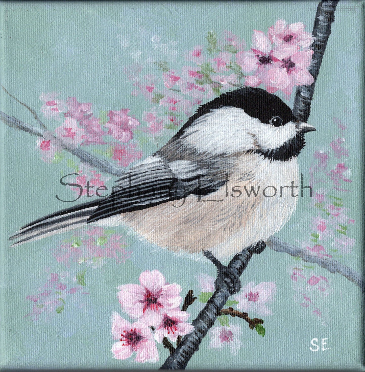 Chickadee and Cherry Blossoms 6 x 6 Original Painting