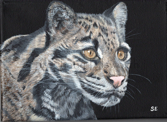 7 x 5 inch Clouded Leopard Original Acrylic Painting