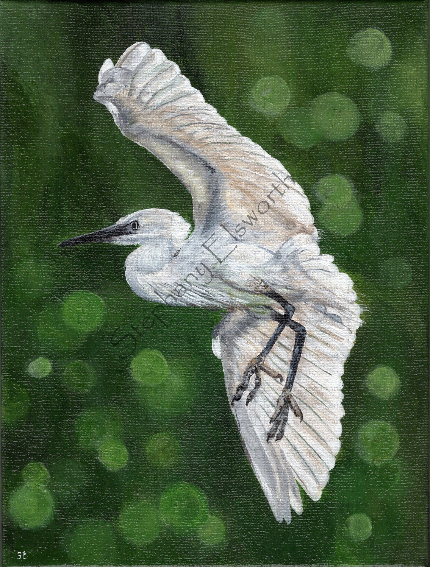 Egret in Flight Giclee Fine Art Print