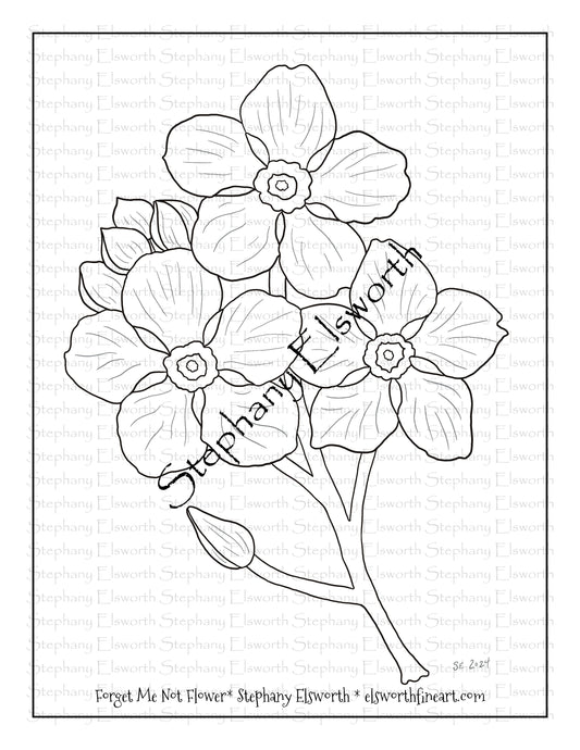 Forget Me Not Flower Free Printable PDF Instant Download Coloring Page