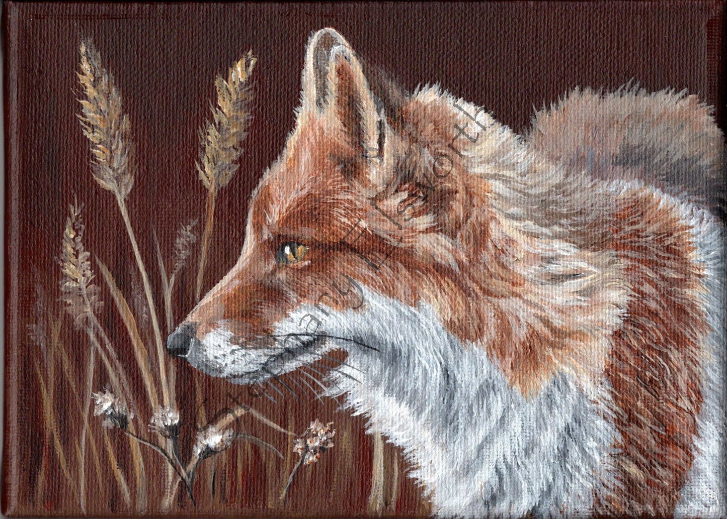 7 x 5 inch Red Fox Study Original Acrylic Painting