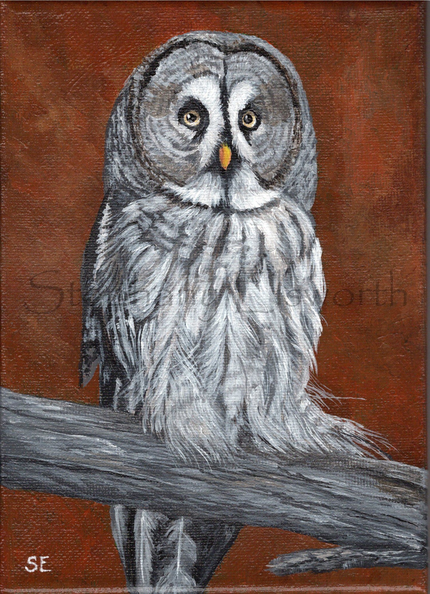5 x 7 inch Great Gray Owl Original Acrylic Painting