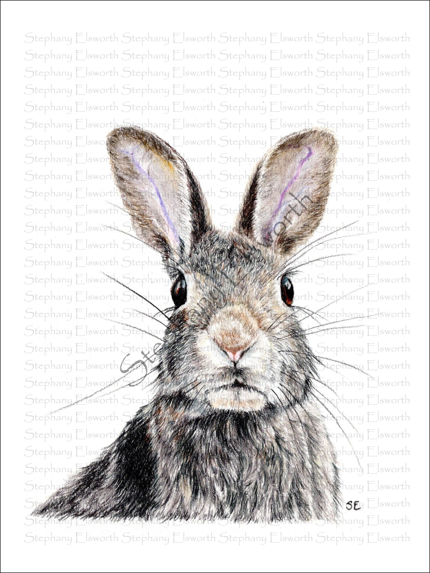 Rabbit 6 x 8 inch Giclee Print