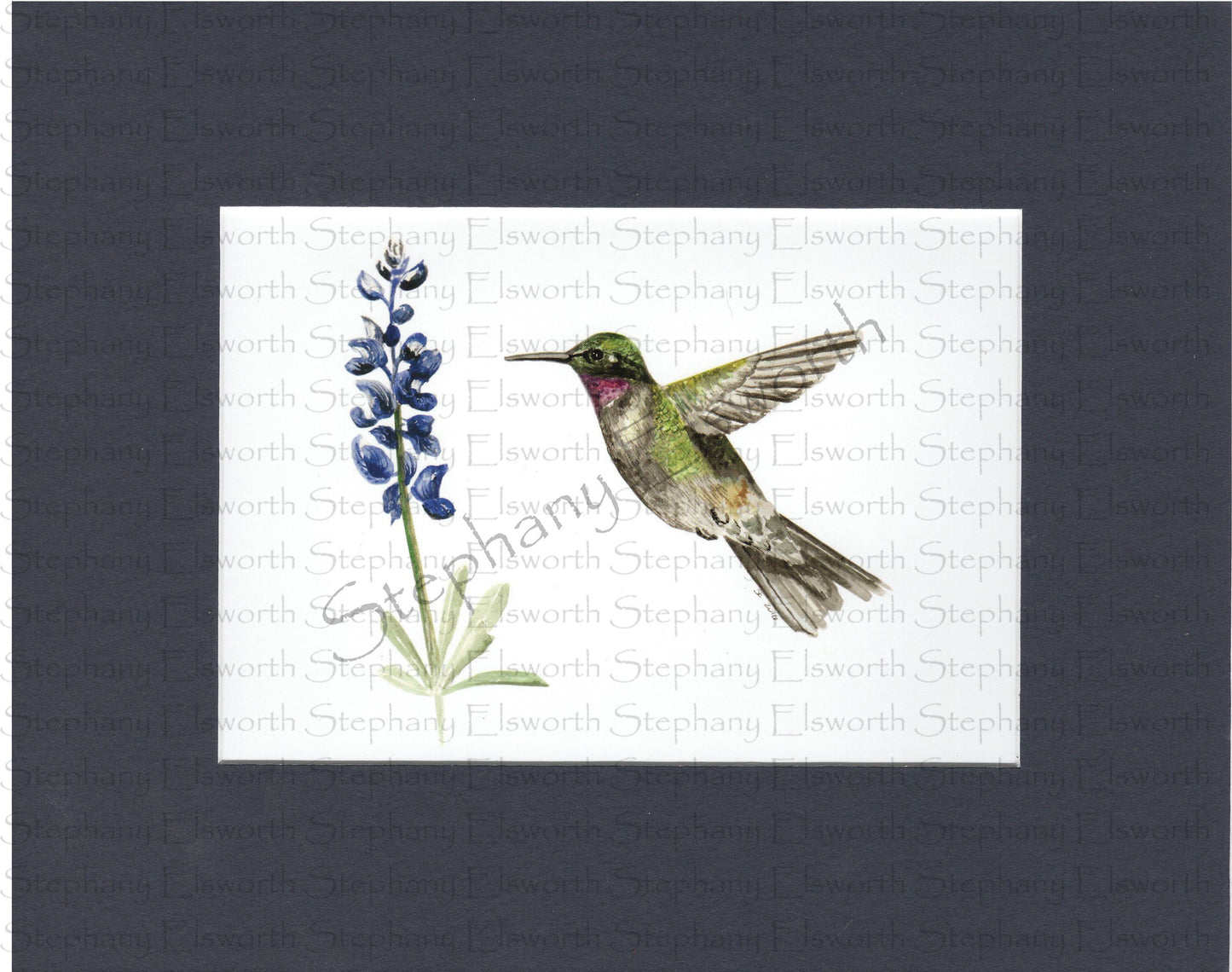 Hummingbird and Bluebonnet 5 x 7 Print in 8 x 10 Mat