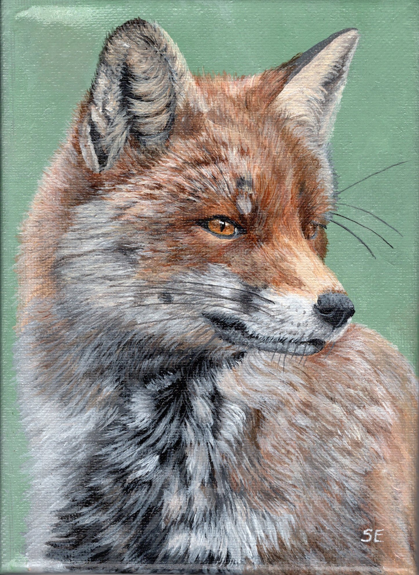 5 x 7 inch Fox Study Original Miniature Painting