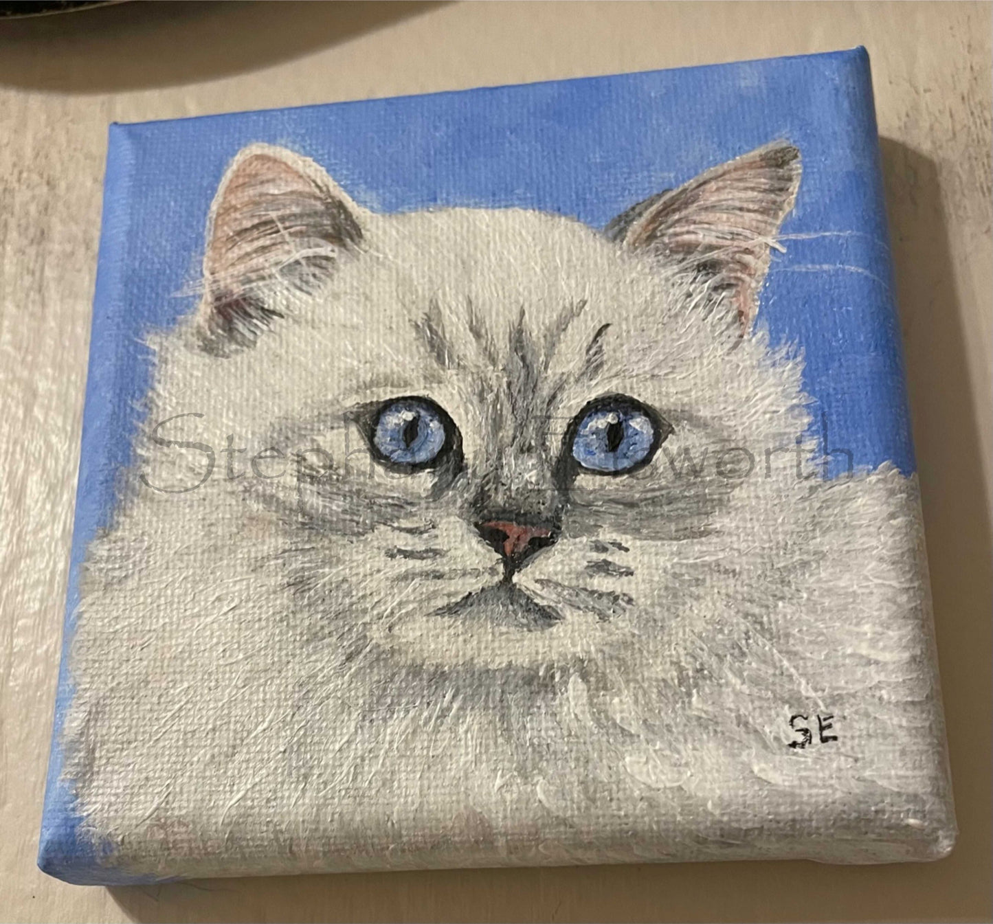 Ragdoll Kitten Pair Original 4 x 4 inch Miniature Acrylic Paintings on Stretched Canvas