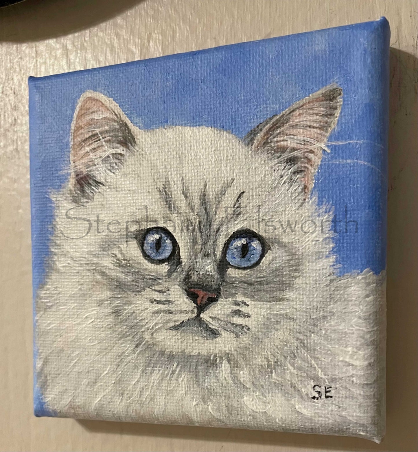 Ragdoll Kitten Pair Original 4 x 4 inch Miniature Acrylic Paintings on Stretched Canvas