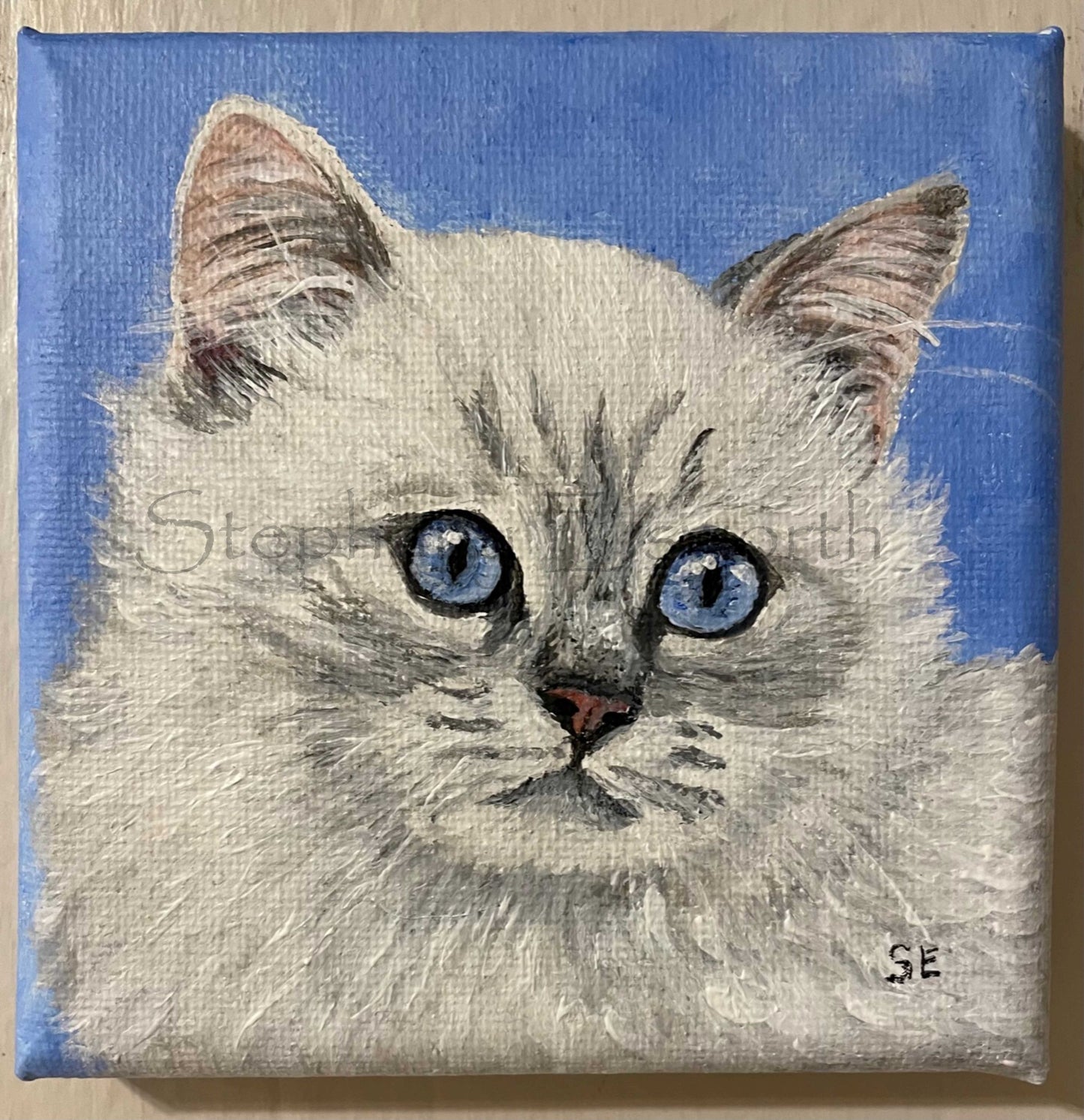 Ragdoll Kitten Pair Original 4 x 4 inch Miniature Acrylic Paintings on Stretched Canvas