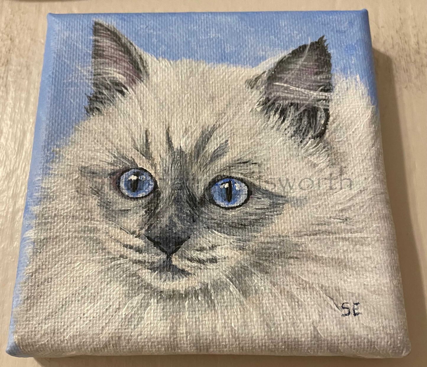 Ragdoll Kitten Pair Original 4 x 4 inch Miniature Acrylic Paintings on Stretched Canvas