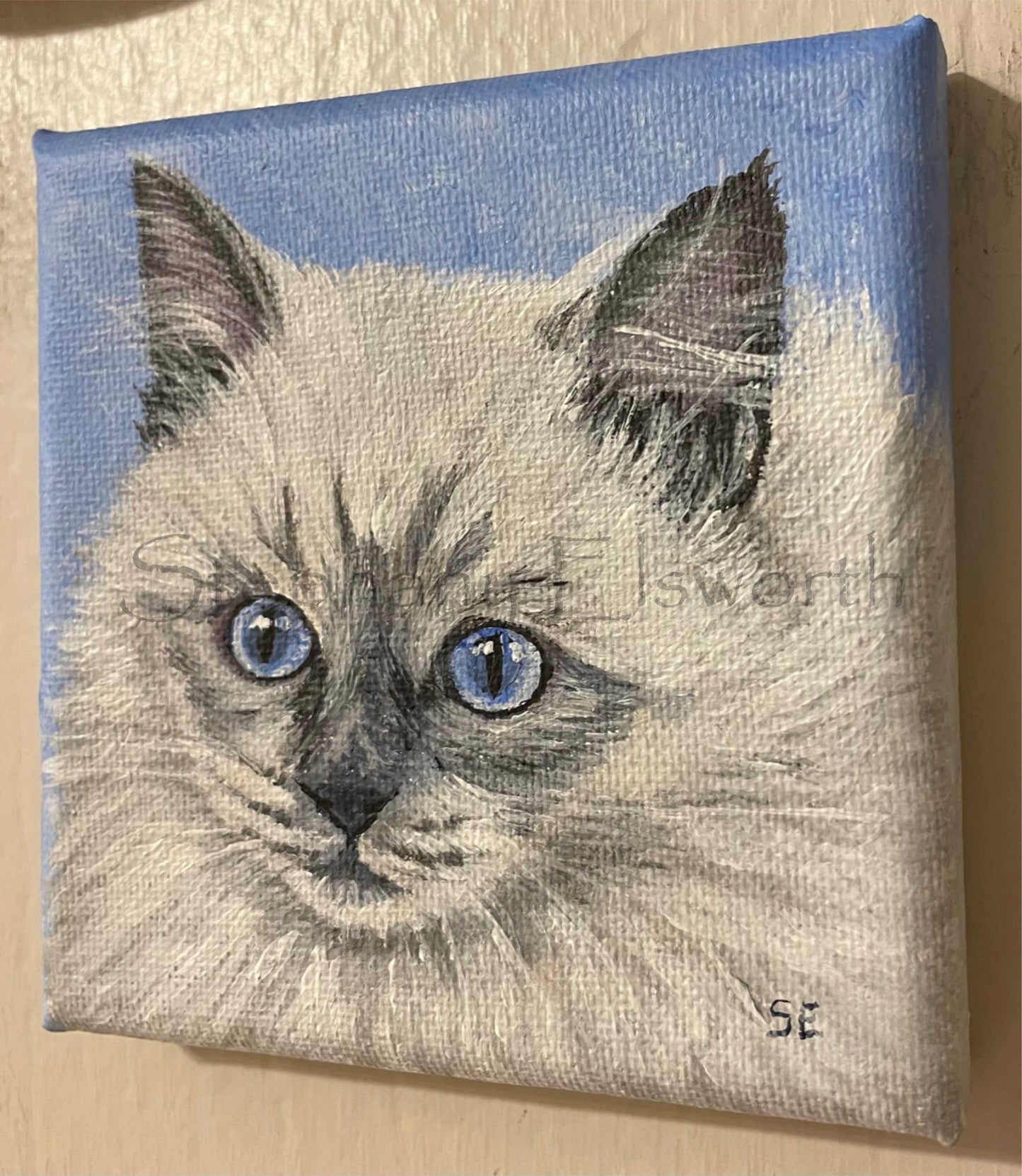 Ragdoll Kitten Pair Original 4 x 4 inch Miniature Acrylic Paintings on Stretched Canvas