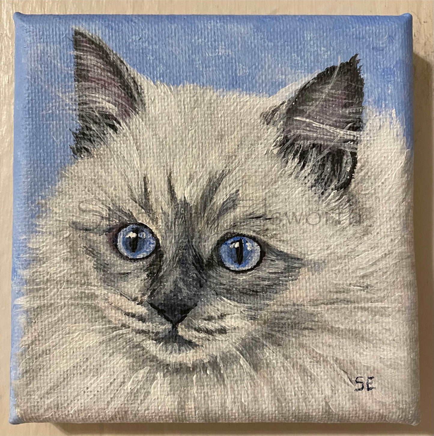 Ragdoll Kitten Pair Original 4 x 4 inch Miniature Acrylic Paintings on Stretched Canvas