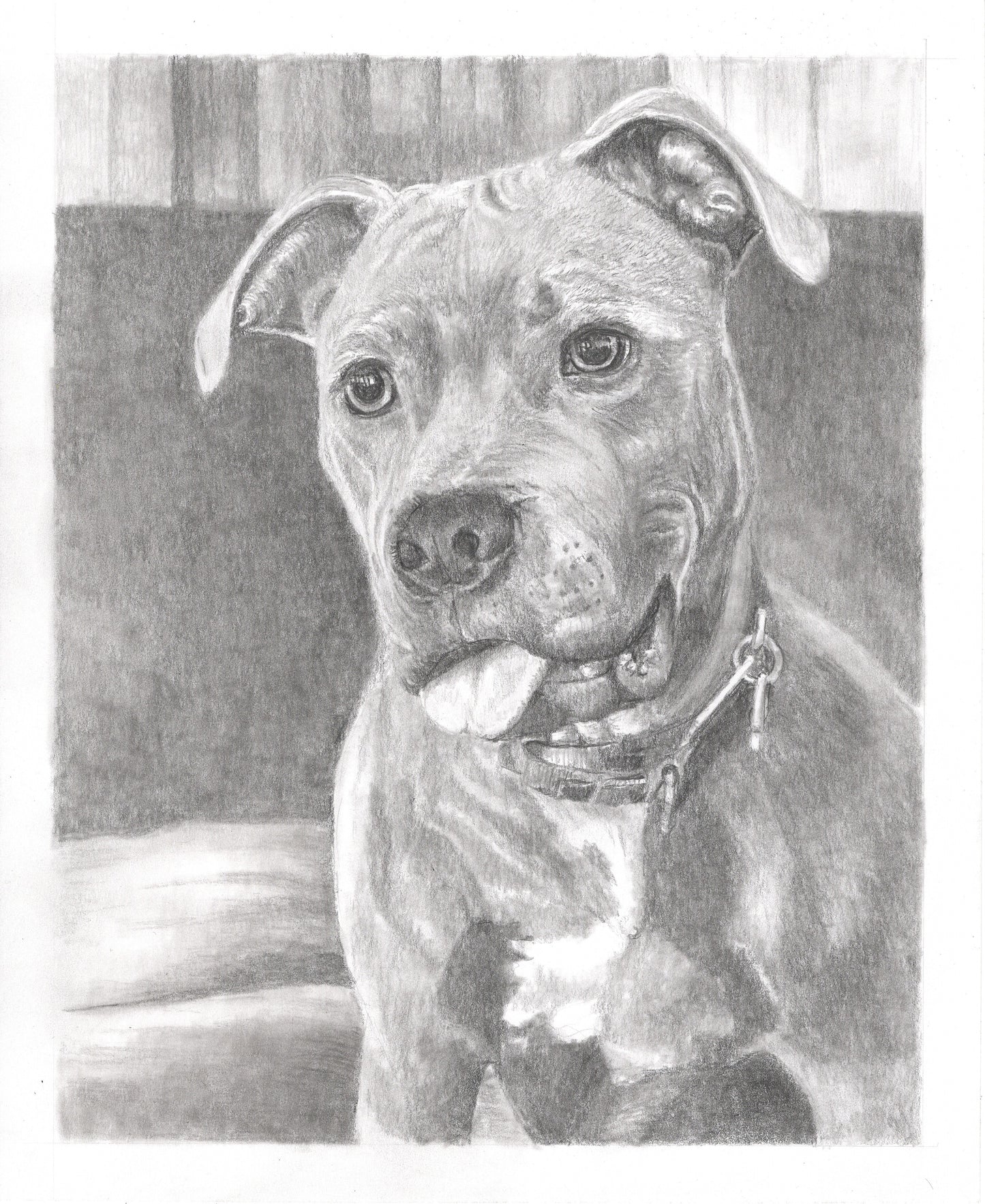 Custom Graphite Pencil Pet Portrait from Photo