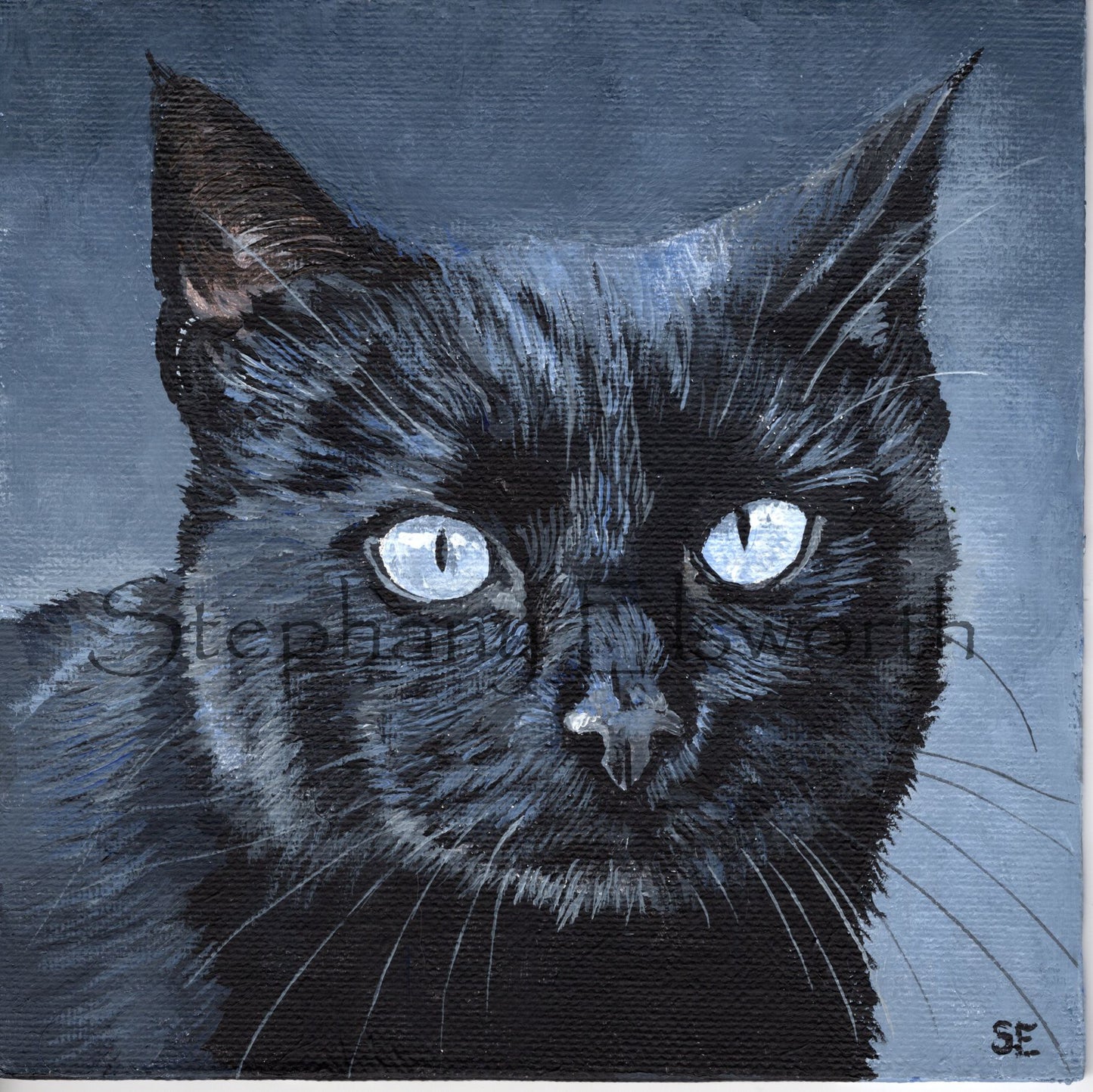 Black Cat with Blue Eyes original 6 x 6 Acrylic Painting on Canvas Board