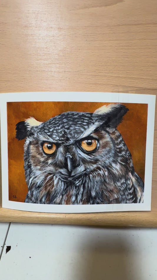 8 x 6 Inch Great Horned Owl on Orange Giclee Fine Art Print