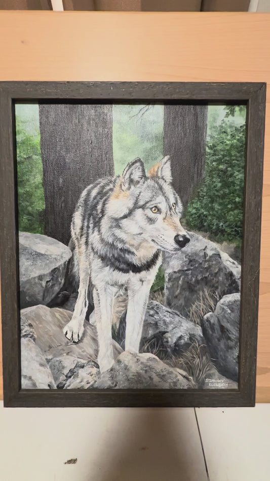 Wolf on Rocks 11 x 14 inch Original Custom Framed Acrylic Painting