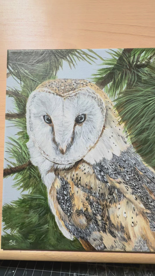 8 x 10 inch Barn Owl Original Painting