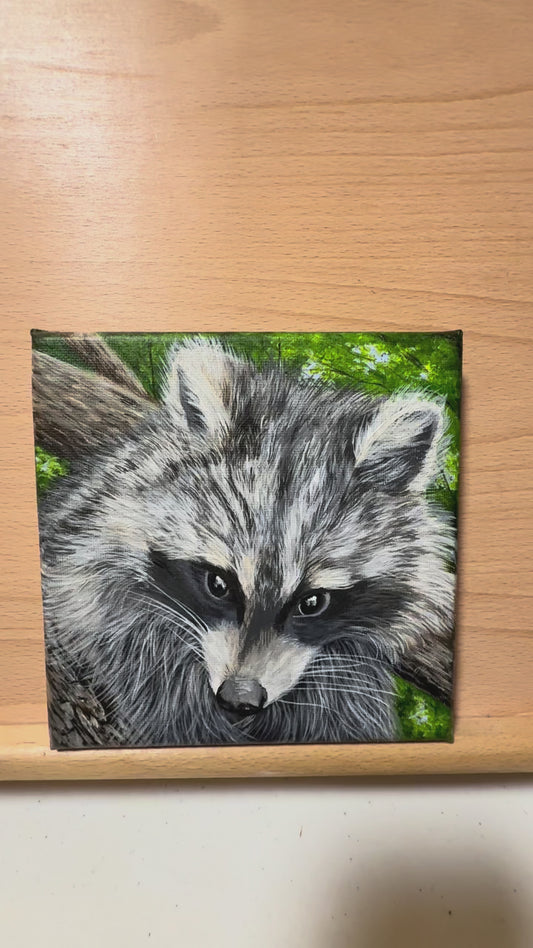 6 x 6 Trouble in the Trees Original Acrylic Miniature Raccoon Painting