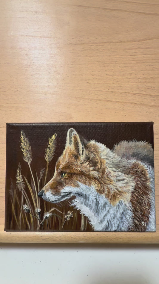 7 x 5 inch Red Fox Study Original Acrylic Painting